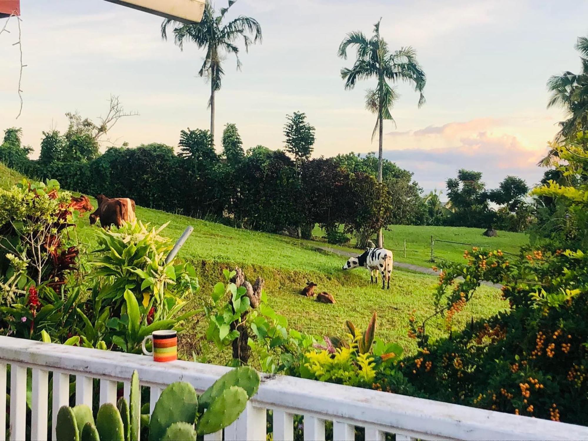 Apaula Heights Lounge Bed & Breakfast อาเพีย ภายนอก รูปภาพ