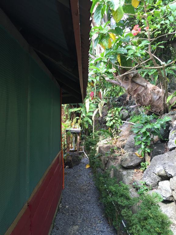 Apaula Heights Lounge Bed & Breakfast อาเพีย ห้อง รูปภาพ